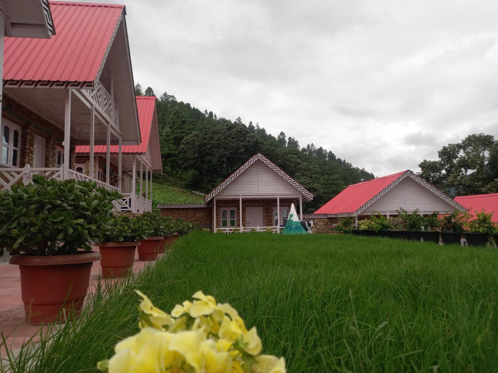 Brokpa Estate * Dirang